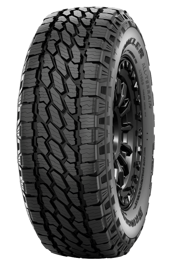 265/65R17 BRIDGESTONE DUELER AT002 112T TL 3PMSF
